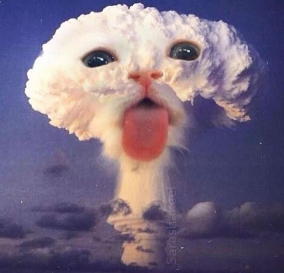 KindTestingDTX's tweet image. Dallas walkins at capacity for the night besties! We’ll be back Thursday evening 🩵