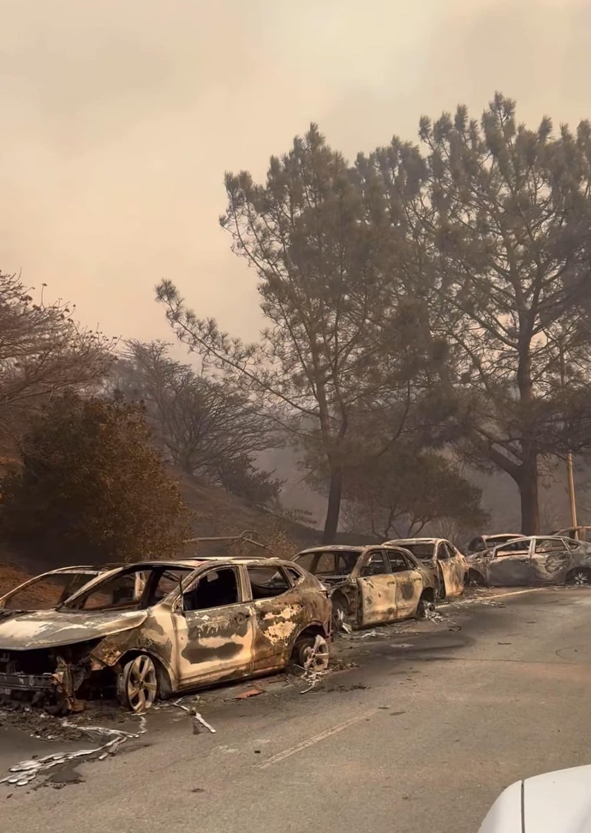 ChrisRobbinsWX's tweet image. A New Weapon in the Fight Against #Wildfires: Developed by Two Teenagers
iweathernet.com/wildfires-and-… 🔥

#InnovativeTech #teensuccess #WildfirePrevention