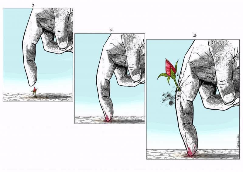 “De que podría lamentarme? He logrado vivir mucho sin lustrarle los zapatos a ningún tirano; he expresado a veces opiniones heterodoxas sin terminar en una hoguera ardiente; he visto subir a los estrados de la vida pública a criminales idiotas…”

Eugenio Montale 
“Autoexamen”