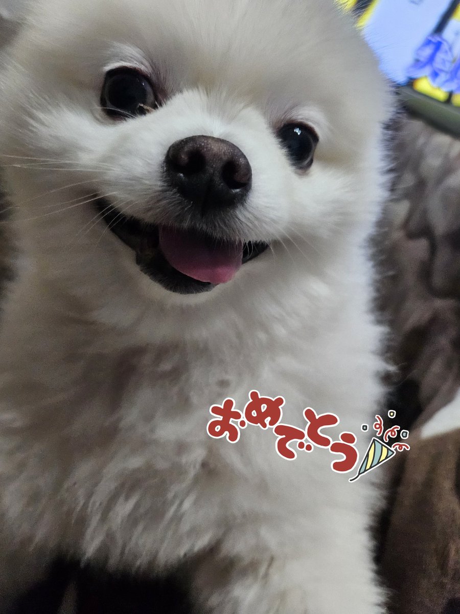 今日はゆきちゃんのお誕生日です🎂✨🥰
6才になりました💗