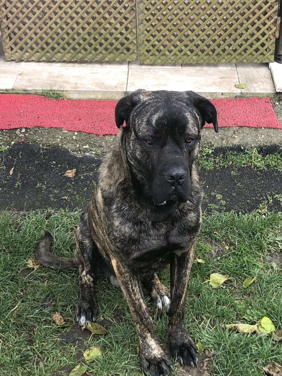 Evet ; ) onun işi…