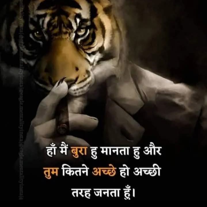 Dinesh.S.Bajaj (@dineshbajajxmla) on Twitter photo 