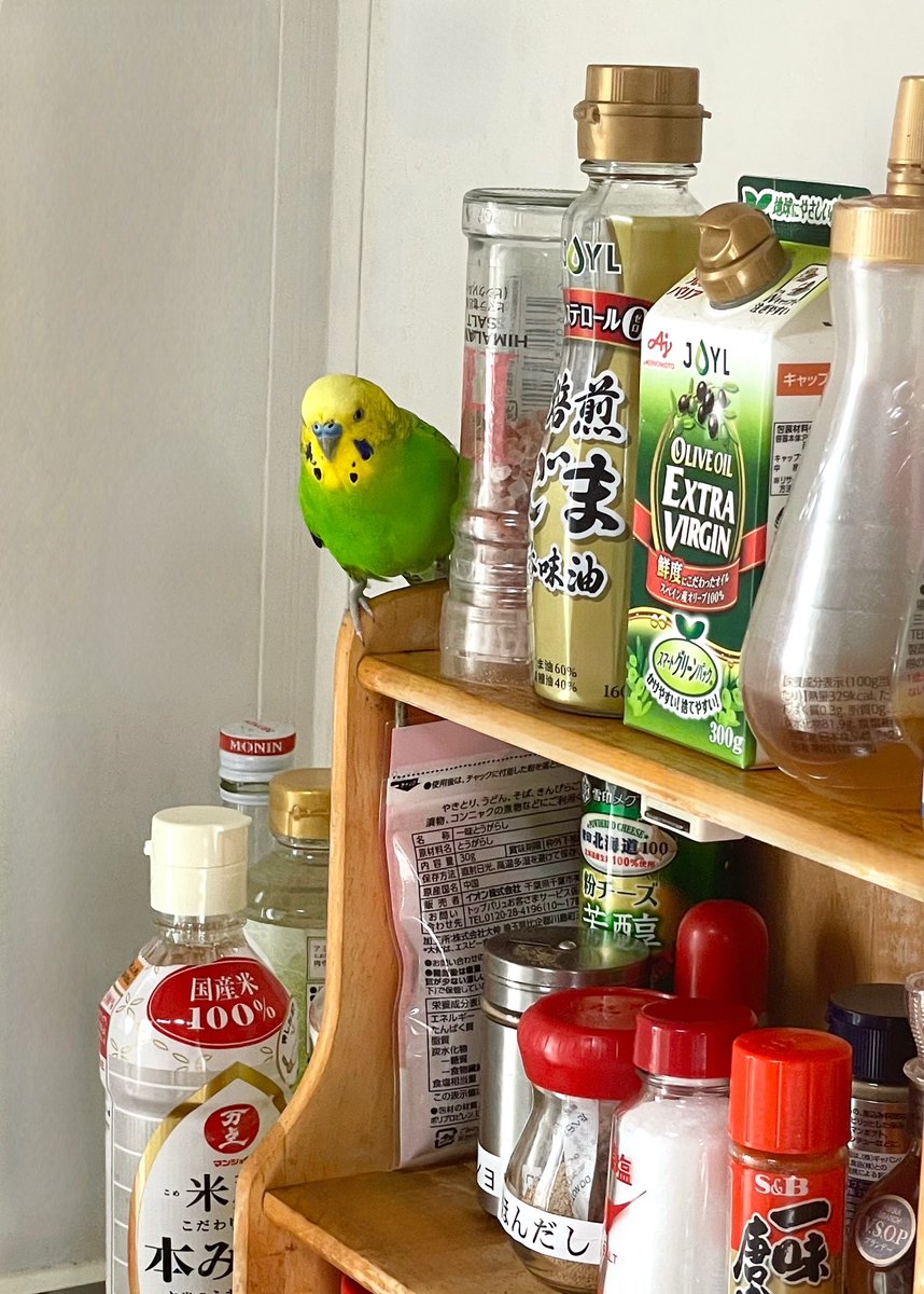 キッチンのここが落ち着くみたい🍀