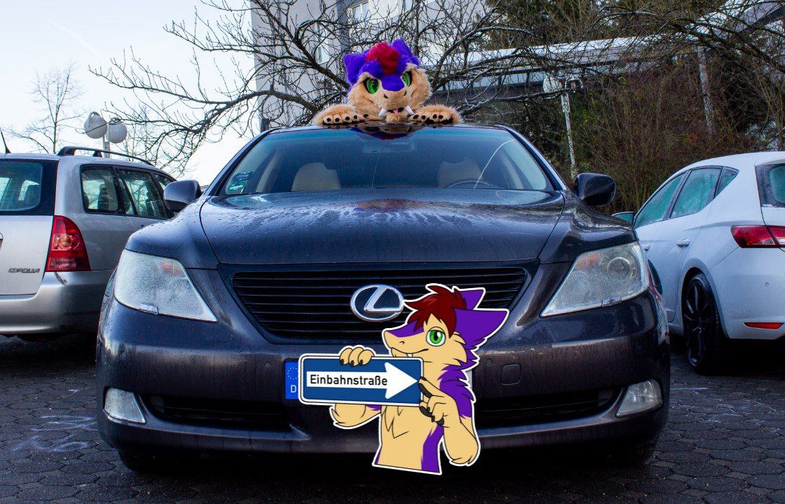 Xerg_al's tweet image. The last thing you&apos;ll see in your rear mirror when you&apos;re under 200km/h on the left lane on the Autobahn 👀

📸 @Artis_triangle 
🧵 @FurNEkkoCr 
📍 @furvester

#FursuitEveryday #Fursuit #Lexus #Sergal