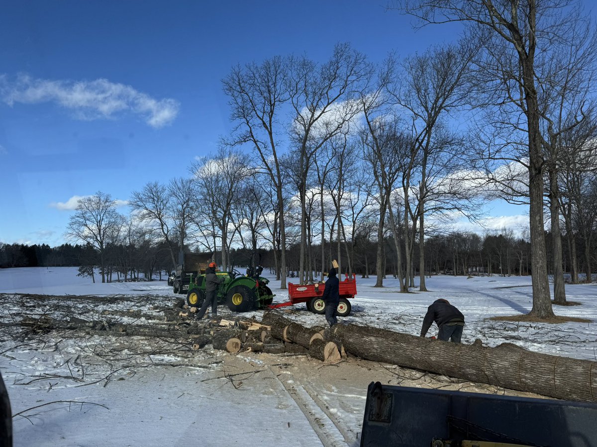 TJohnston tweet media