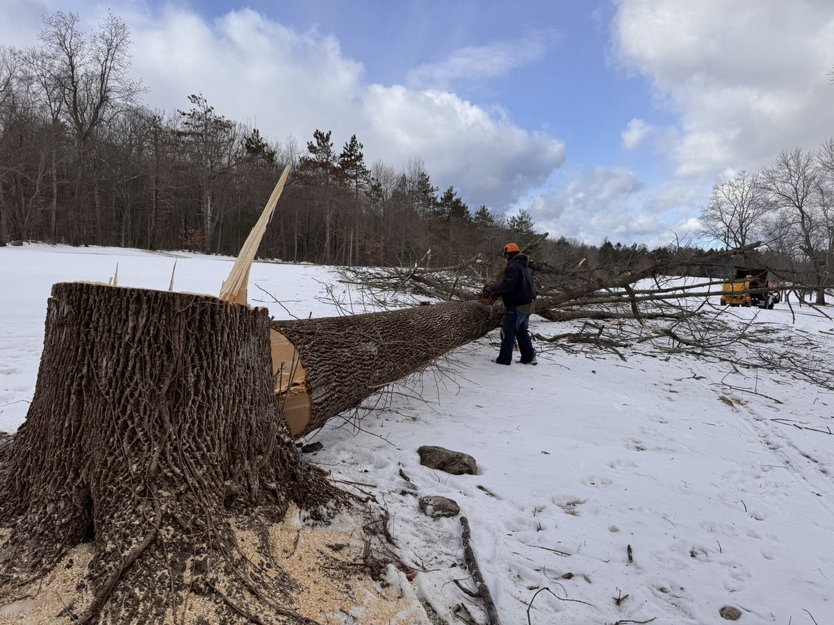 TJohnston tweet media