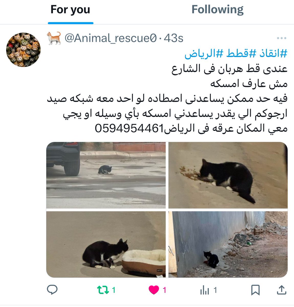 Khaled tweet media