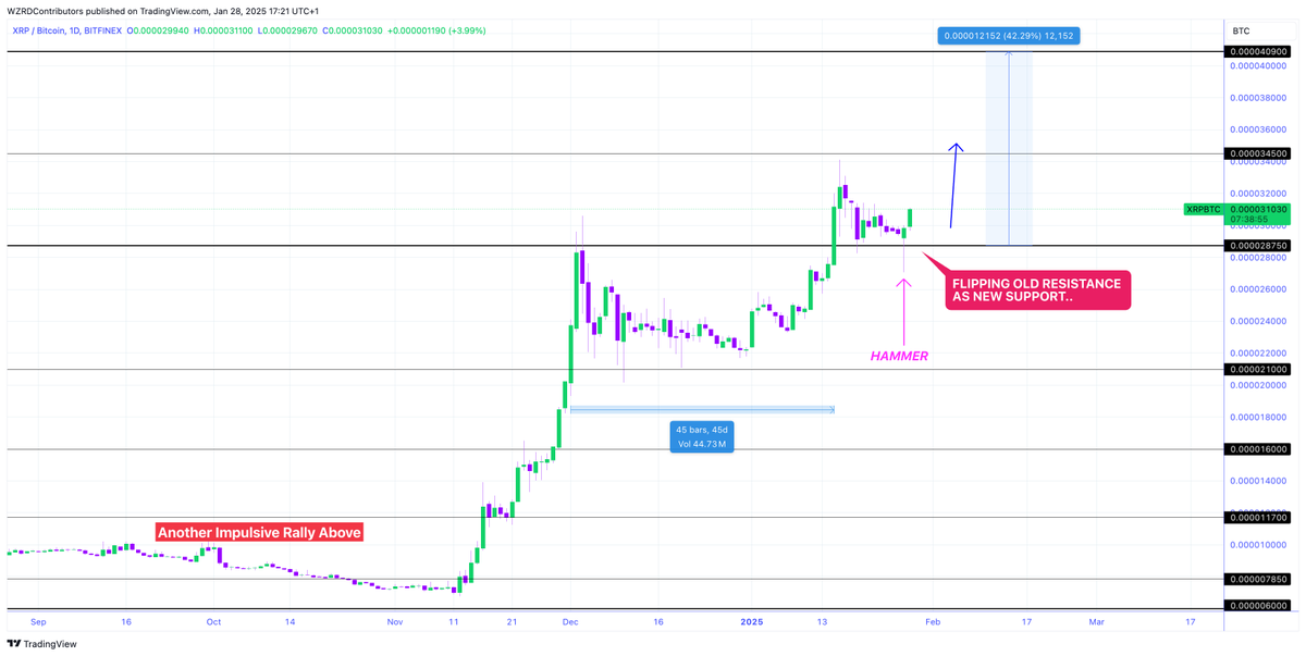 cryptoWZRD_'s tweet photo. 🚨 NOW THAT’S A FLIP 🥞

Early signs that the rocket is gearing up.. 👀

⚠️ On the Daily timeframe XRPBTC is flipping a 45 day resistance as support after rejecting with a hammer.. a strong sign that $XRP bulls are ready 🚀

$4.00 is coming 👩🏻‍🚀 https://t.co/hhMoCmROa7