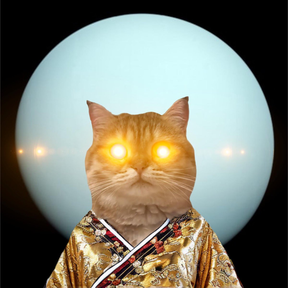 Cap_Tsubasa88's tweet photo. @ghostes_9 @MustStopMurad @blknoiz06 @catownkimono $COK to $69B and then Uranus!

Don’t fade the first cat coin on Solana built by the $WIF Devs!

🐱 
👘 
   🚀 https://t.co/87Dgz6Vub7