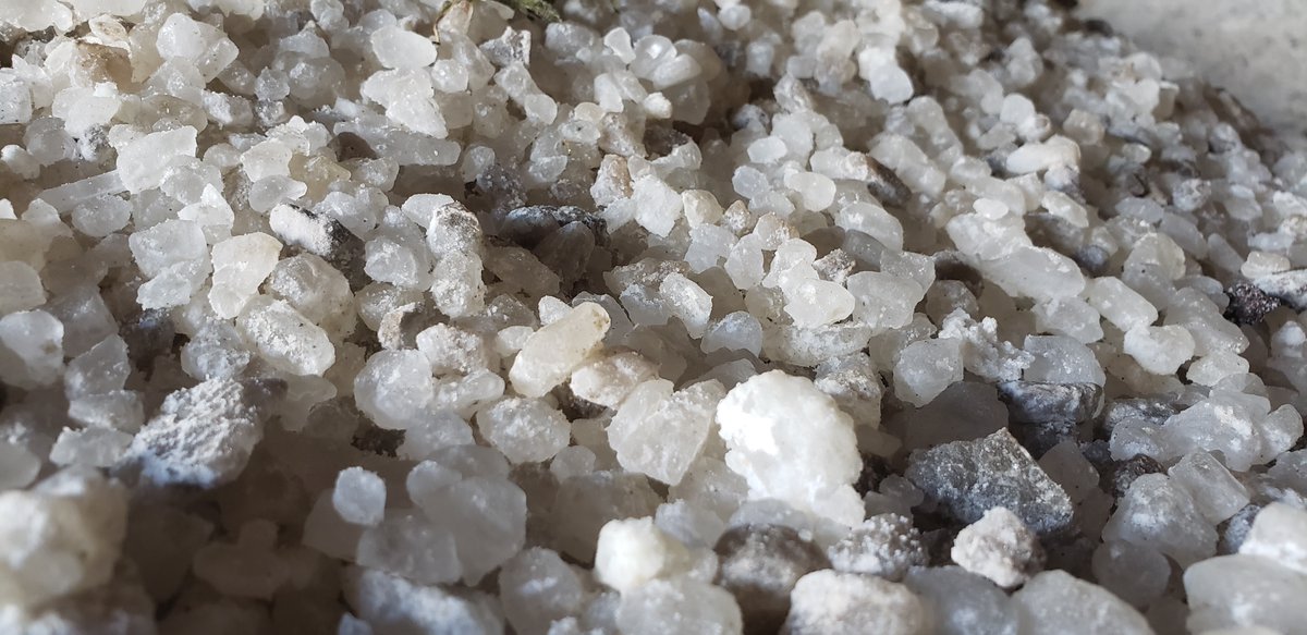 Happy Winter Salt Week 2025! Check out daily webinars livestreamed on YouTube from Wisconsin Salt Wise all this week long at 12:30 p.m.

MONDAY: An Eye on Salt Pollution: youtu.be/vPJgw9wRLCo
TUESDAY: Dilution is NOT the solution: youtu.be/TQ5yjIGKdAA