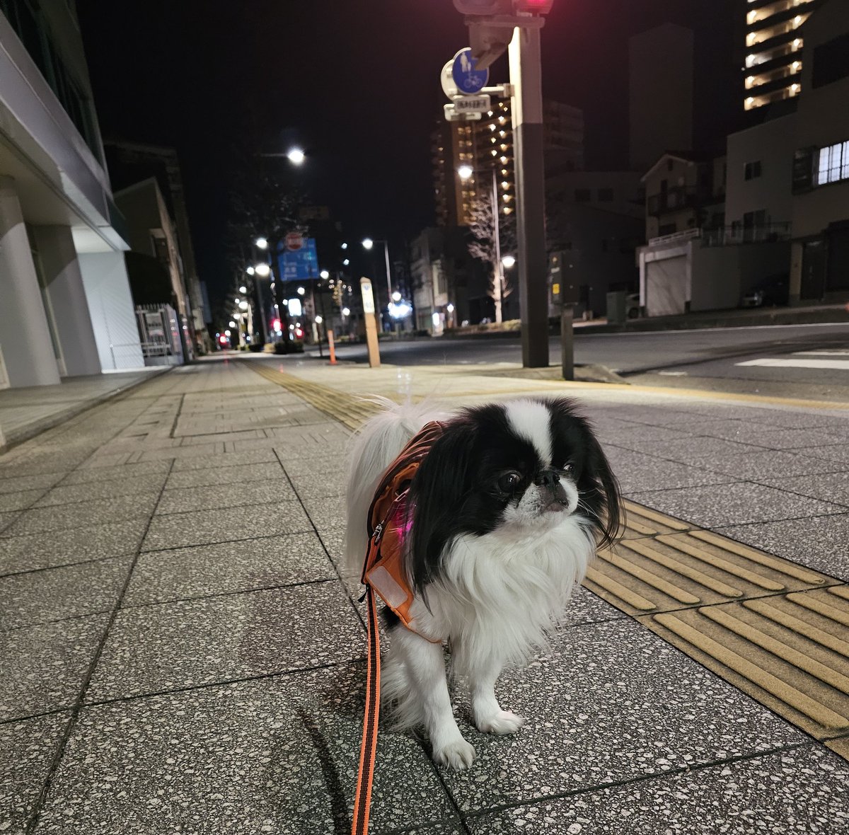 chako (@chako106) / X chako (@chako106) / X