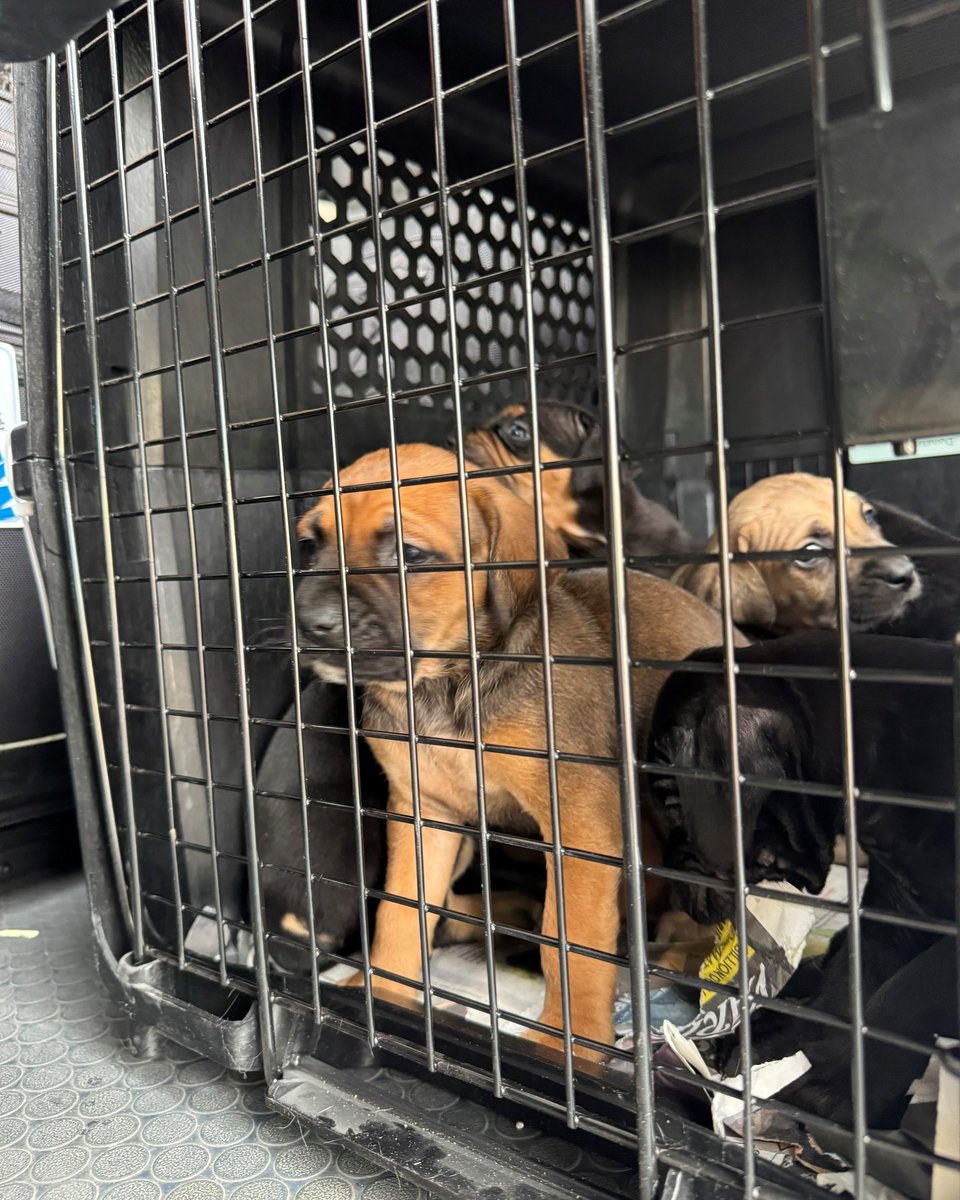 Cutter Aviation tweet media