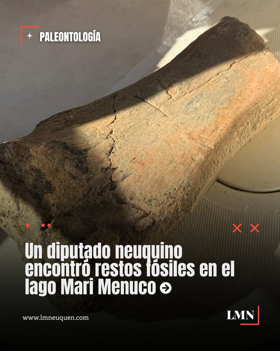 LMNeuquen's tweet photo. 🦖 Durante una tarde familiar en el lago #MariMenuco, el diputado nacional de la UCR por Neuquén, Pablo Cervi (@CerviPablo), encontró un resto paleontológico. https://t.co/Mh4q7AsHAX
