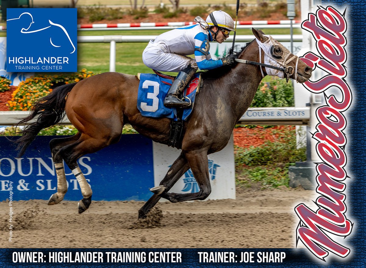 HighlanderTrainingCenter (@highlandertrai3) on Twitter photo A big Thank You to <a href="/mjsharp75_joe/">Joe Sharp / JSR Racing ⚪️🔴⚫️🏇🏻</a> and @jose93-ortiz for the nice win with <a href="/HighlanderTrai3/">HighlanderTrainingCenter</a> graduate Numero Siete <a href="/fairgroundsnola/">Fair Grounds Race Course & Slots</a> on Jan. 27. Numero Siete is a son of <a href="/DarleyAmerica/">Darley in America</a> stallion Hard Spun. <a href="/hodgesphoto/">Hodges Photography</a> A big Thank You to <a href="/mjsharp75_joe/">Joe Sharp / JSR Racing ⚪️🔴⚫️🏇🏻</a> and @jose93-ortiz for the nice win with <a href="/HighlanderTrai3/">HighlanderTrainingCenter</a> graduate Numero Siete <a href="/fairgroundsnola/">Fair Grounds Race Course & Slots</a> on Jan. 27. Numero Siete is a son of <a href="/DarleyAmerica/">Darley in America</a> stallion Hard Spun. <a href="/hodgesphoto/">Hodges Photography</a>
