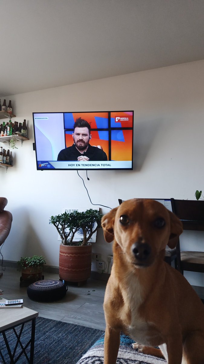 Esteban Navia tweet media