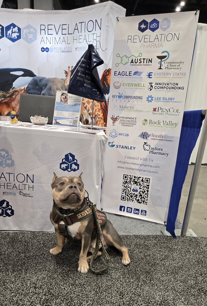 RevPharma's tweet photo. We’re at #VMX2025 in Orlando until tomorrow! Stop by Revelation Pharma &amp; Revelation Animal Health to explore innovations in veterinary compounding and meet some truly unique animals. 🐶💊 Don’t miss your chance to connect!
-
#VeterinaryMedicine #AnimalHealth #CompoundingPharmacy https://t.co/Mi2fsySRlO