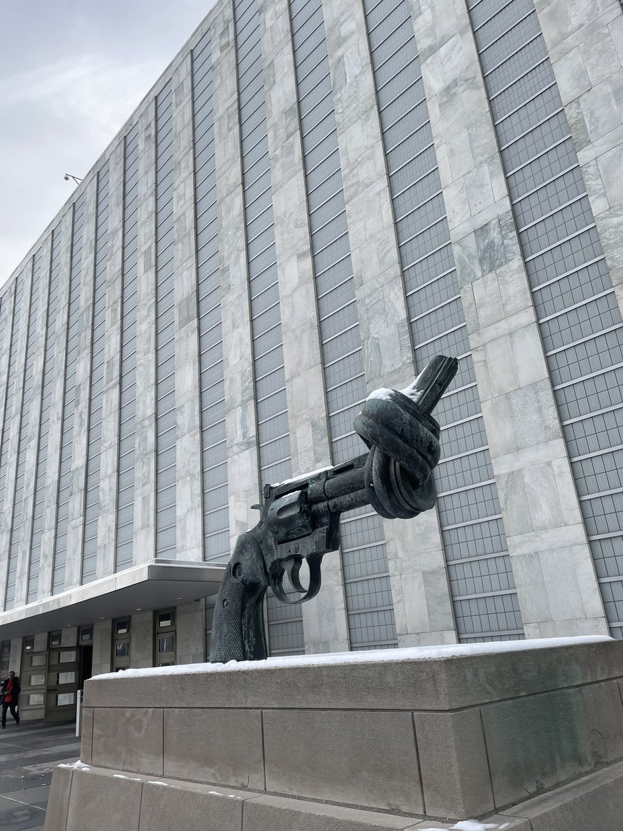 An amazing and fruitful week at the UN making the case for <a href="/IdeasForEurope/">Coppieters Foundation</a> to achieve special consultative status at the Economic and Social Council

🌐 ideasforeurope.eu/news/antonia-l…