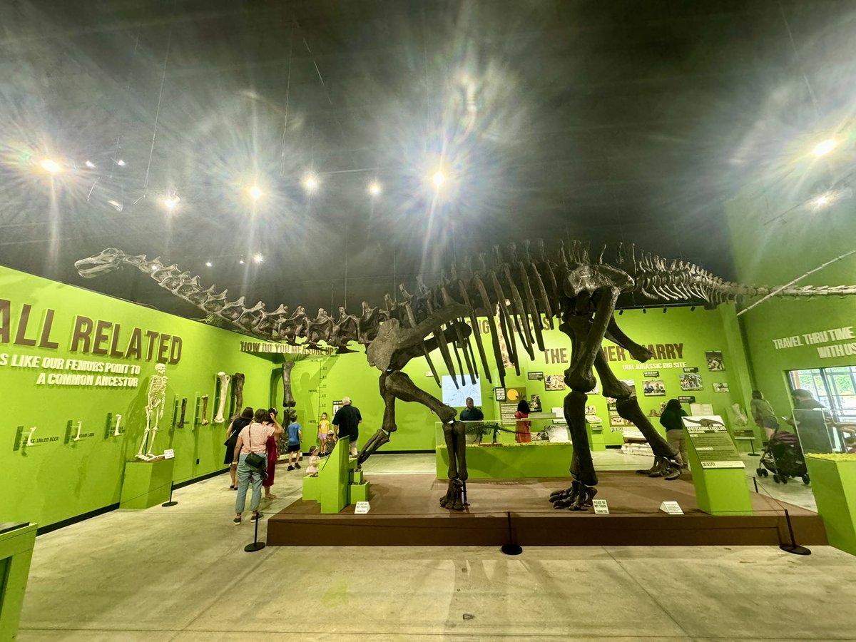 dinosonthebrain's tweet photo. @JurassicLibrary @ColinM_Art Here are some shot of the museum. https://t.co/p4tQ4vKwIo