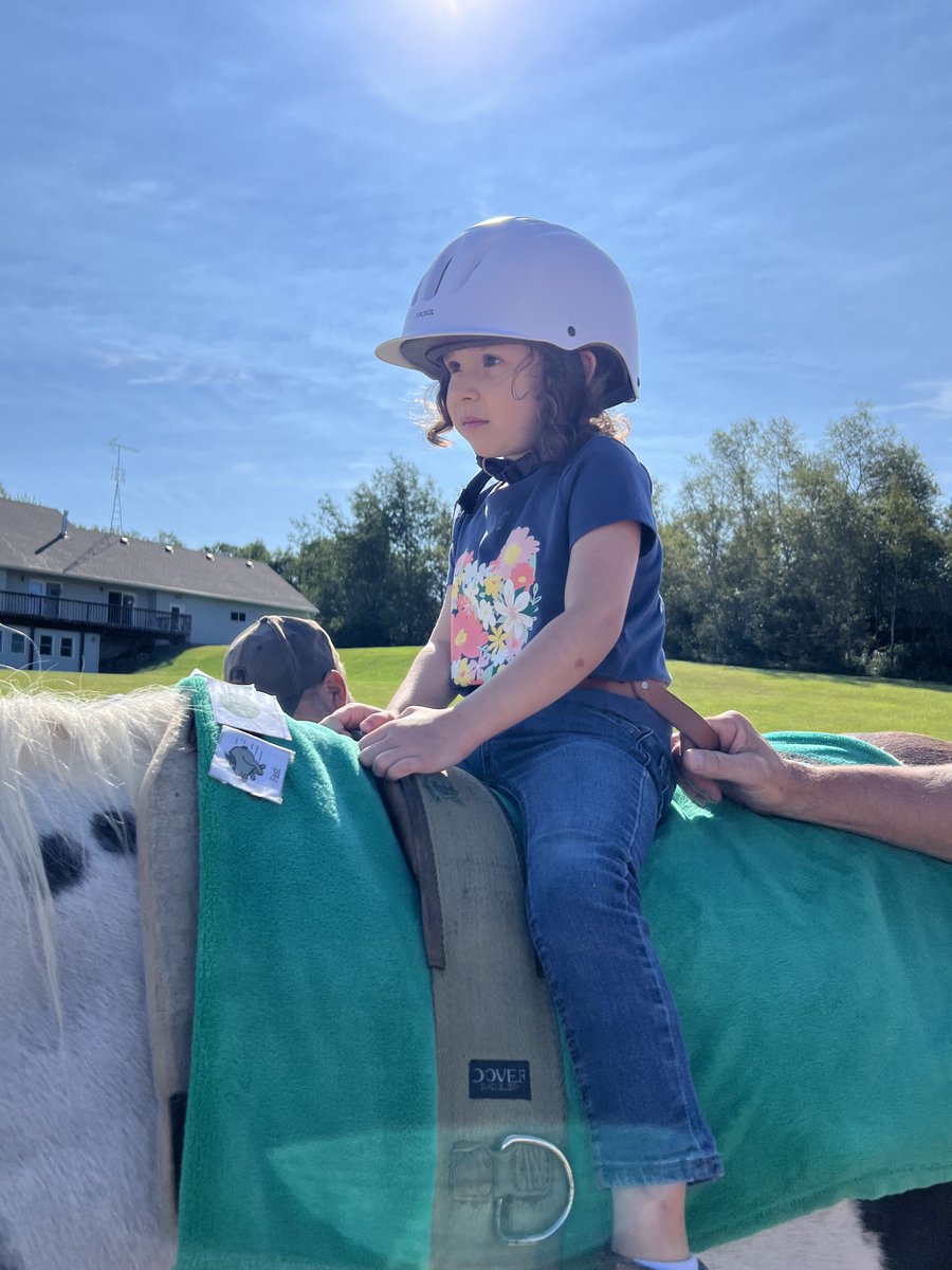 Variety of Wisconsin tweet media