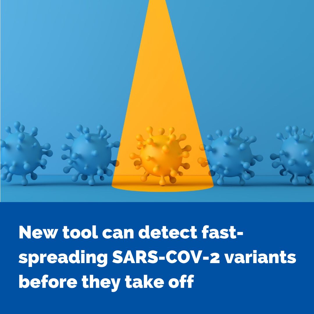 By analysing millions of viral genome sequences from around the world, a team of scientists led by <a href="/TheDohertyInst/">Doherty Institute</a> and <a href="/PittTweet/">University of Pittsburgh</a> uncovered the specific mutations that give SARS-CoV-2 a ‘turbo boost’ in its ability to spread. go.unimelb.edu.au/biz8 <a href="/UniMelbMDHS/">UniMelb MDHS</a> <a href="/TheRMH/">The Royal Melbourne Hospital</a>