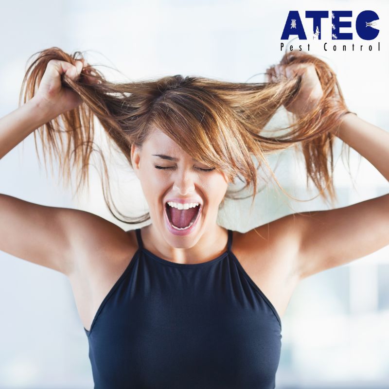 ATECPEST's tweet image. Are pests in your home stressing you out? Call ATEC at 256-533-6754!