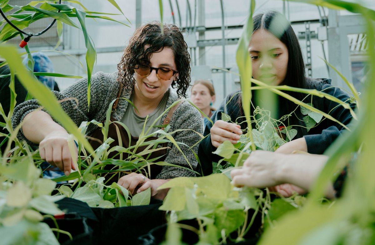 Effective Fall 2025, #SFSU has updated an existing graduation requirement to better incorporate climate justice education. The revision will not change students’ current path to graduation. Learn more at news.sfsu.edu/news/sfsu-revi…