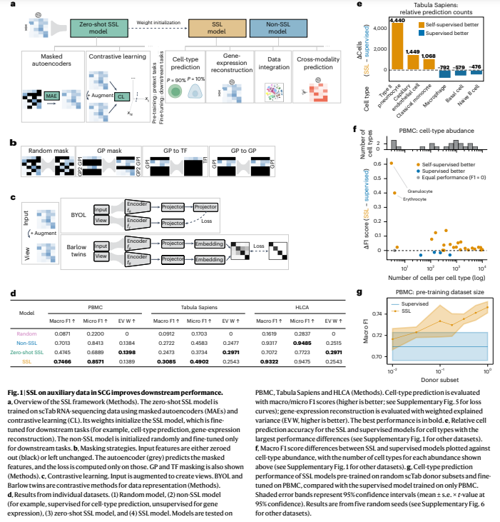 andresvilarino's tweet image. Advancing Single-Cell Genomics with #SelfSupervisedLearning: Techniques, Applications, &amp;amp; Insights

#SSL #NLP #NaturalLanguageProcessing #ComputerVision #CV #ML #MachineLearning

buff.ly/3EgE6Wc