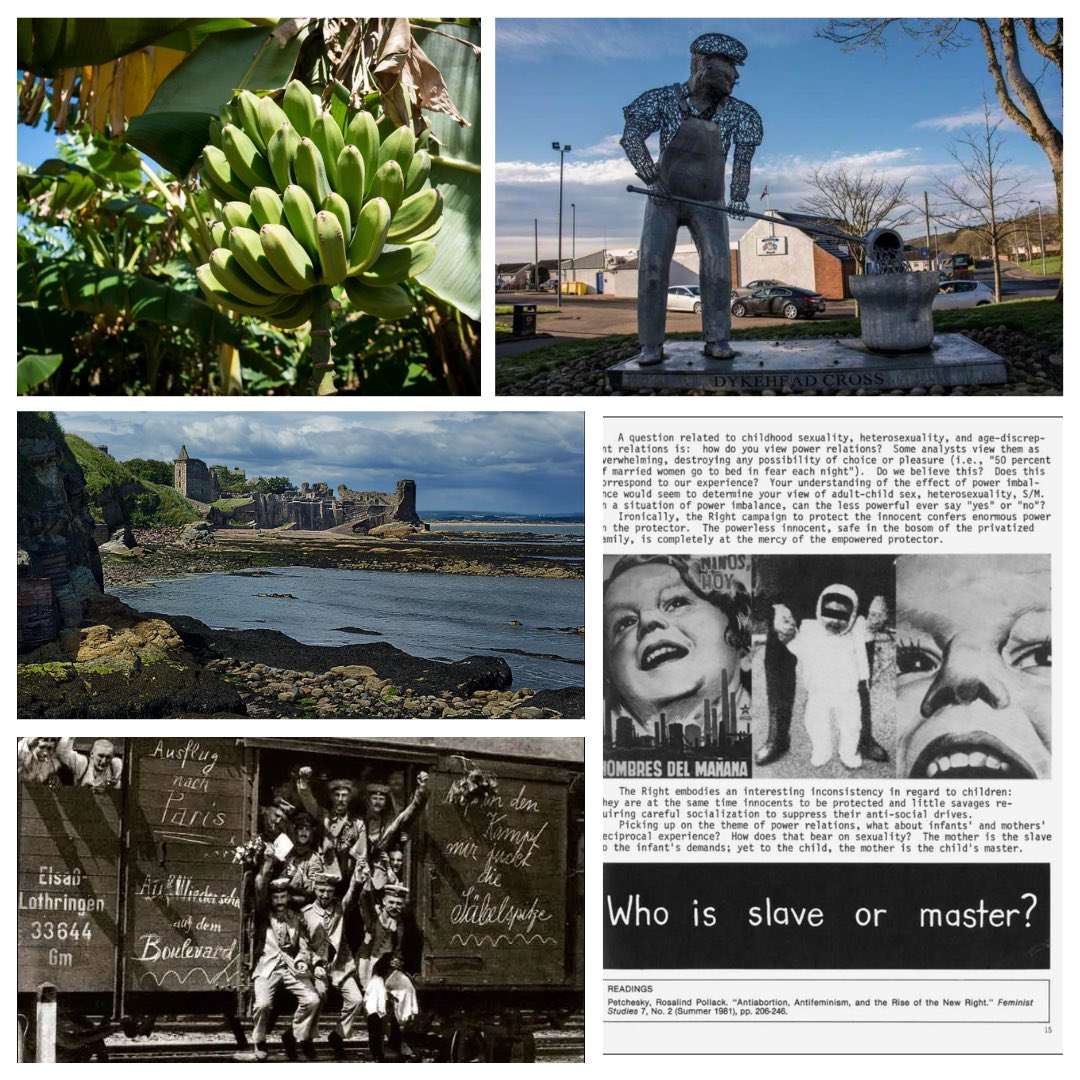 Down below you can find a selection of our articles written by our columnist and junior columnist this week! Read them all on our website 🤠