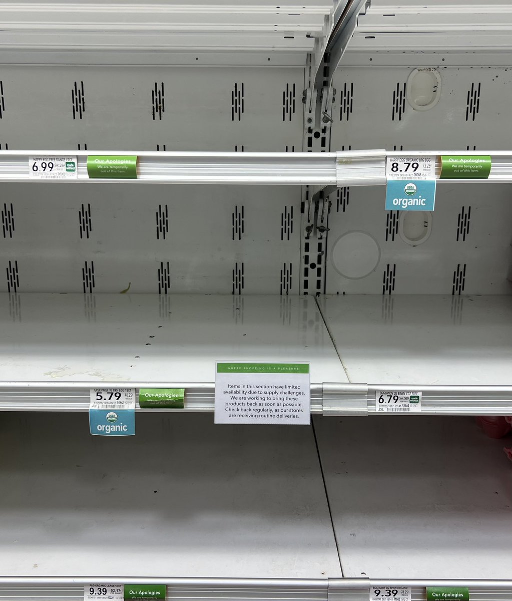 Jon Cooper 🇺🇸 tweet media