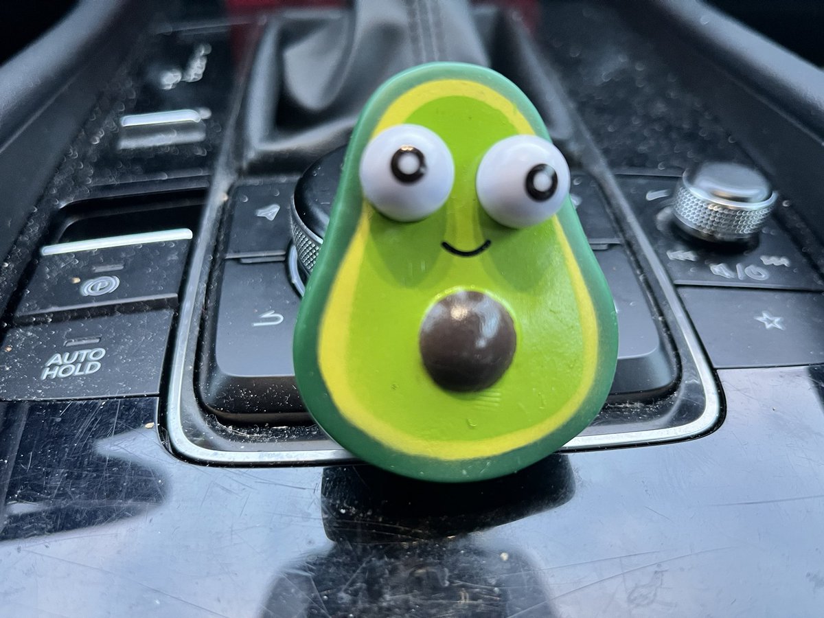 Rise_N_Fire's tweet photo. This little guy is so cute 🥑 https://t.co/OXcUFogFT4