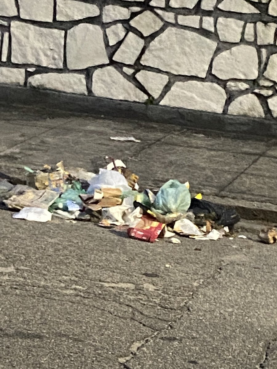 Danni_RJ's tweet photo. @comlurbcomunica @Prefeitura_Rio @eduardopaes : me expliquem pq, no mínimo 3x/mês a minha rua não tem coleta de lixo? Os dias são: terça, quinta e sábado - manhã. O lixo que deixei hoje às 06:30 está no mesmo lugar às 19 horas. Se chover e encher vão dizer que é nossa culpa. https://t.co/ihKjJQy9Zc