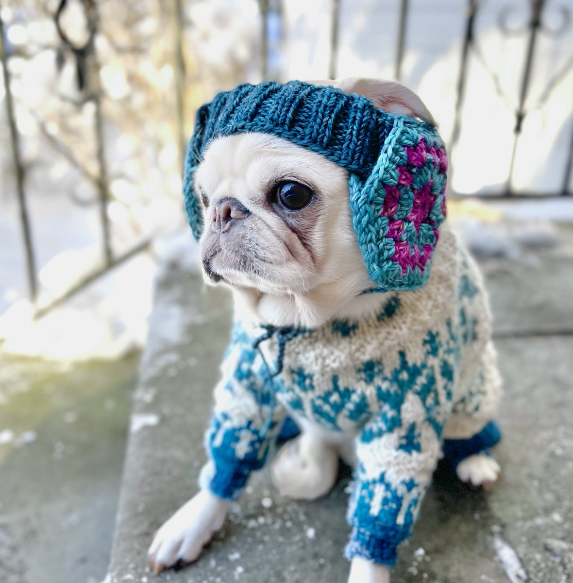 PugSmore⁷ ᴬᴿᴵᴿᴬᴺᴳ 💜 tweet media