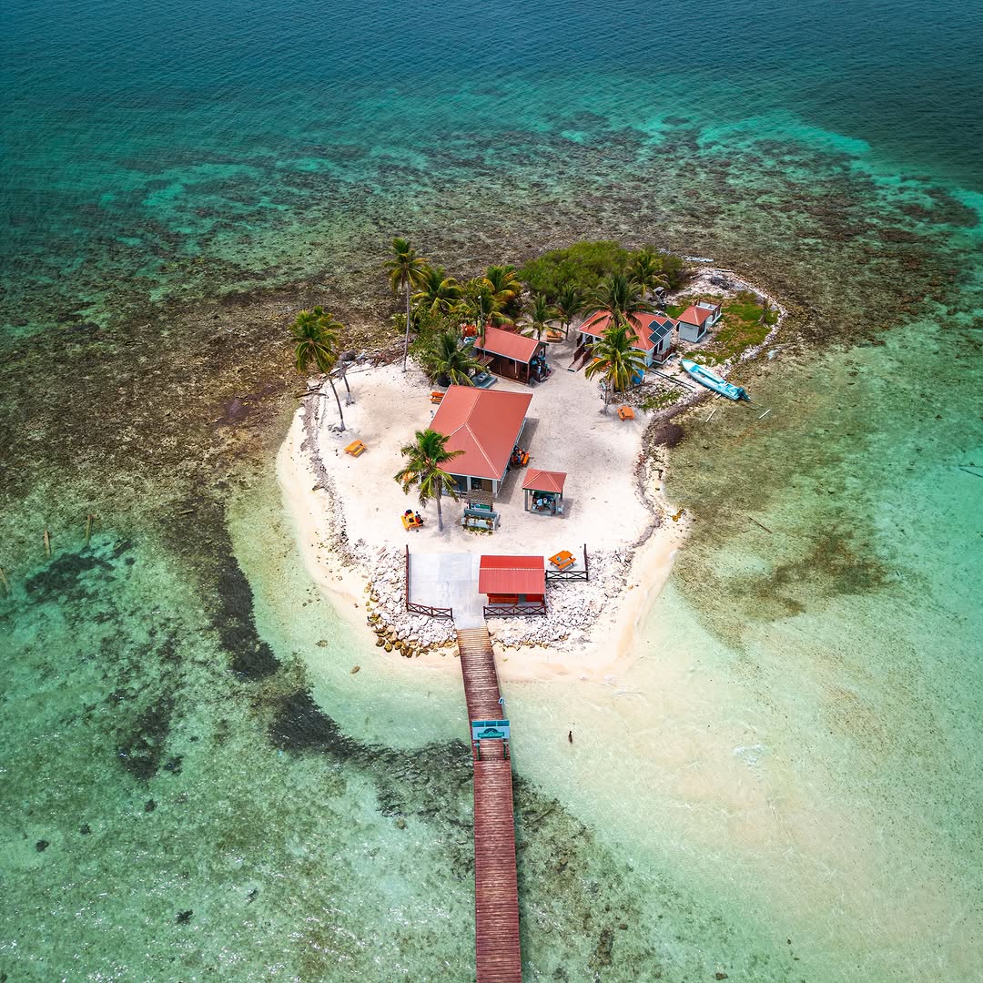 belizevacation's tweet photo. Looking for a little slice of paradise? Goff’s Caye is a dreamy, picture-perfect island! 🛥️ With its white sandy beaches, crystal-clear turquoise waters, and vibrant coral reefs, it's the ultimate spot for soaking in those tropical vibes. 🌞🐠 #TravelBelize https://t.co/YzjY1zUj6B