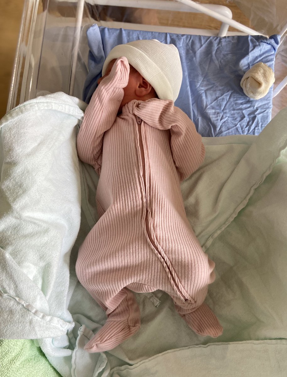 Riana | Teaspoon of Adventure tweet media