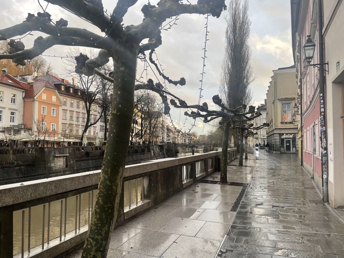 Previdno ob Ljubljanici: na drevesih so zanke za lovljenje kolesarjev za vrat.