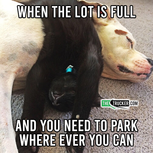 TruckerTalk's tweet photo. 🚛 Full lot blues? We’ve all been there. Parking struggles are real, but safety comes first! 🅿️💡 #TruckDriverLife #ParkingWoes #KeepItSafe https://t.co/Iww3sTPMgl