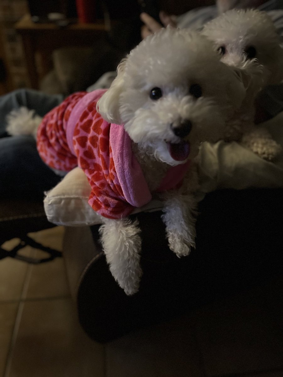 Hello ladies 😍😊🥰❤️⁦<a href="/AlanSoll/">Max’s Dad</a>⁩