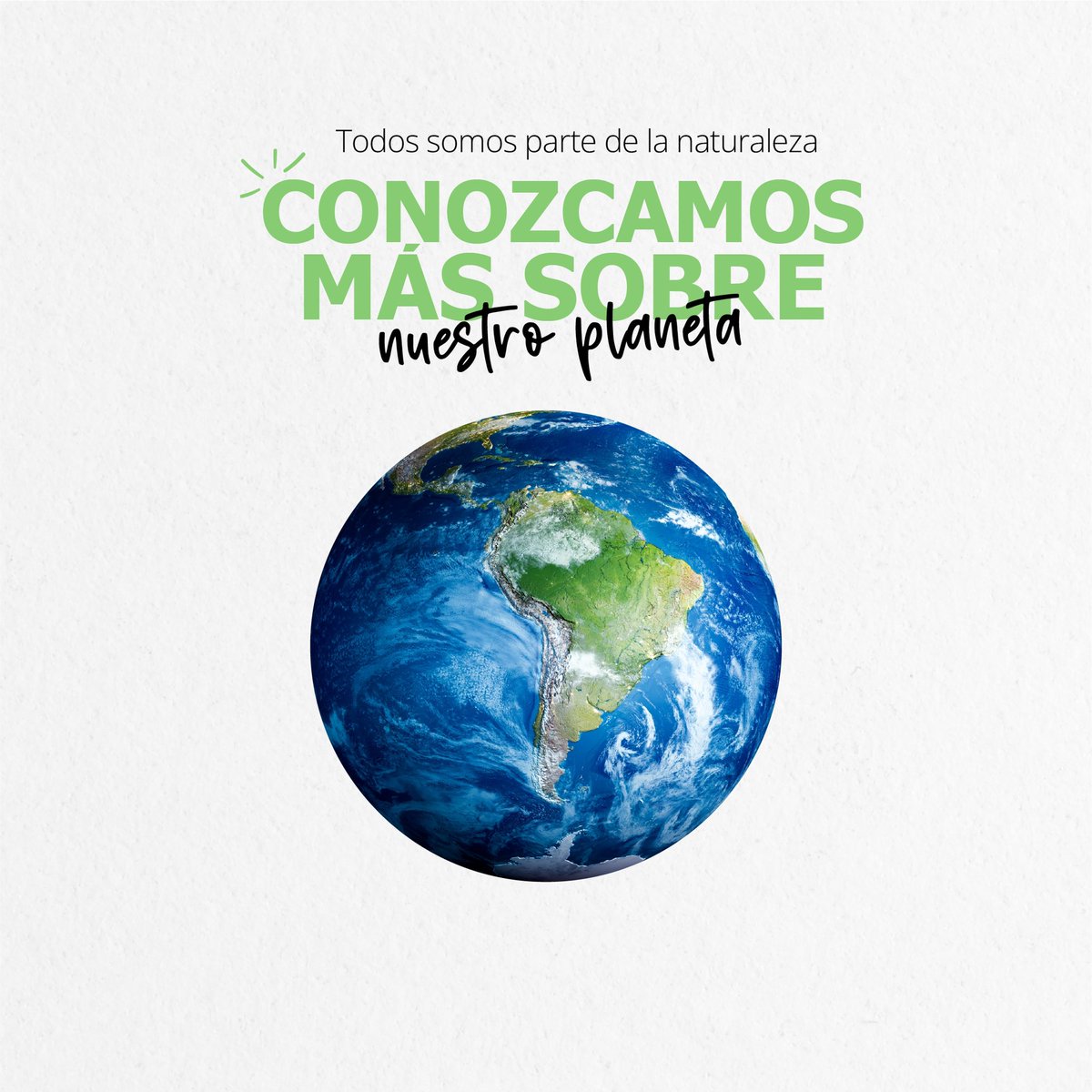 GIRA tweet media