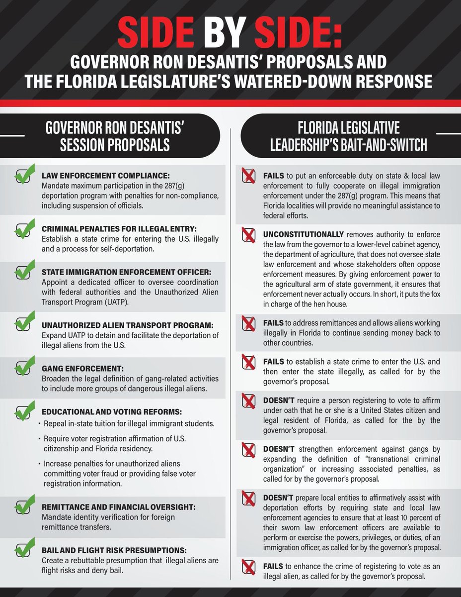 BeachyVibes 🇺🇲 🐊🔆 tweet media