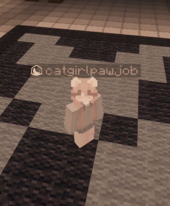 WorstMinecraftNames tweet media