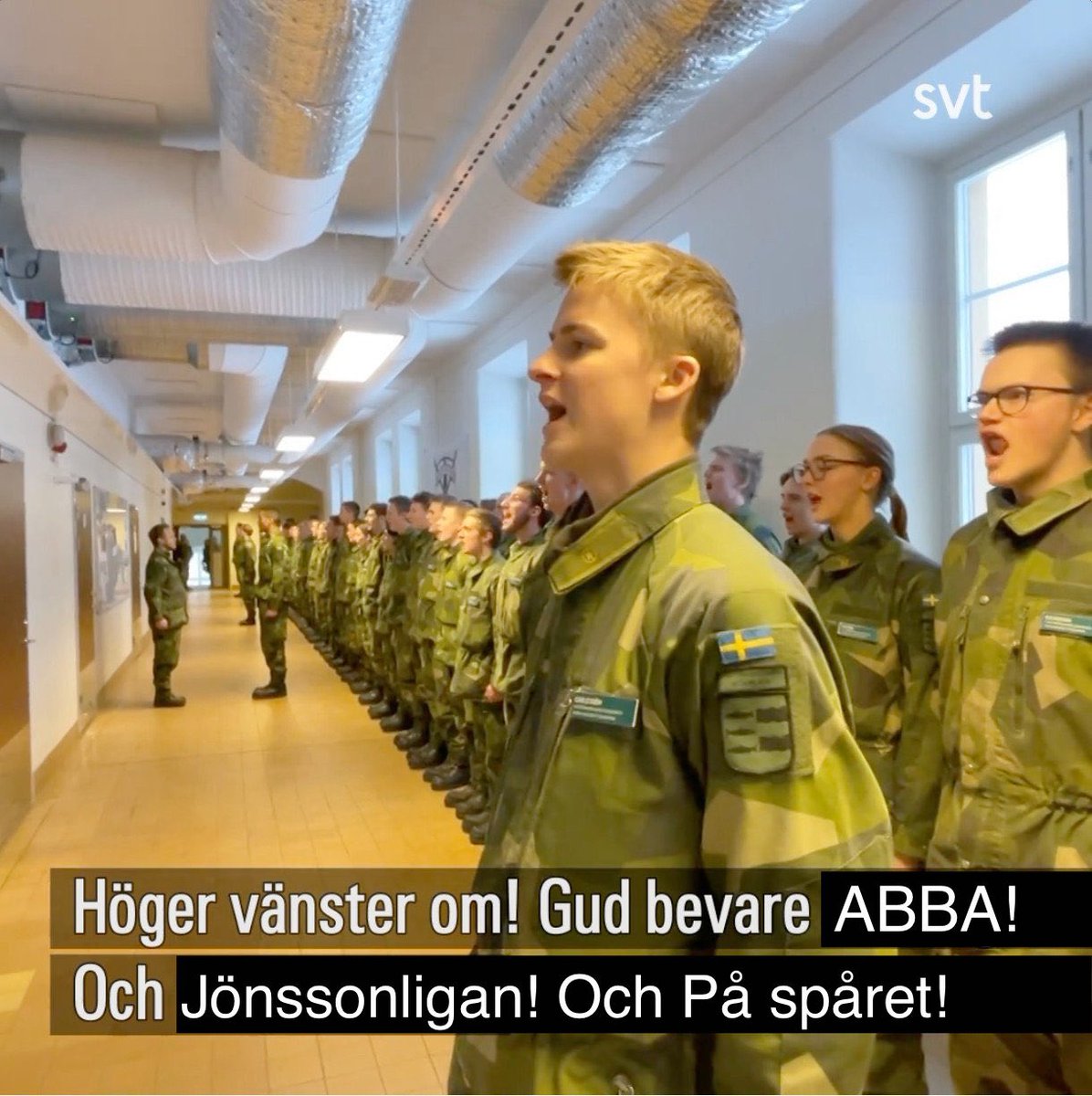 seifert 🐢 tweet media