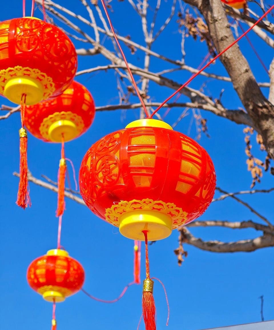 YuheSZ's tweet photo. Happy #LunarNewYear to all those celebrating here in around the world. Wishing you all a pleasant holiday spent with family &amp; friends, &amp; a successful Year of the Snake. https://t.co/VoEWZwGGv7
