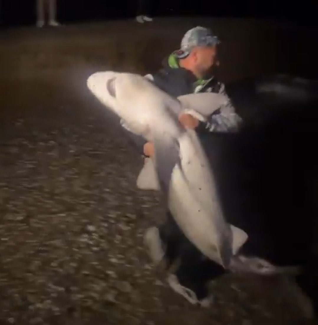 ay gulmekten geberıcem