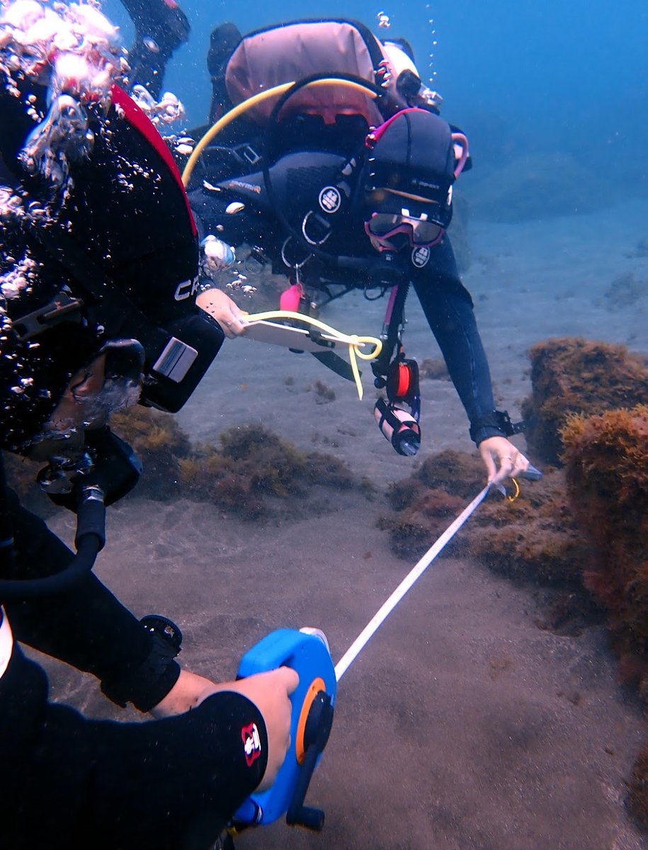 Unser Marine Sci Camp 2025 wird Unterwasseruntersuchungen, Wasser- und Küstenverschmutzung sowie #Meeresvulkanismus umfassen. Bevor wir das Programm international veröffentlichen, empfehlen wir ernsthaft interessierten Professoren und Studenten, uns zu kontaktieren.