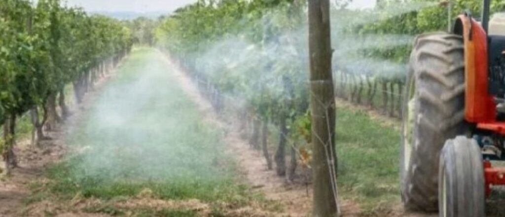 Buenas Prácticas Agrícolas: normas y recomendaciones de <a href="/ProduccionMza/">Producción Mendoza</a>  para asegurar la inocuidad de los alimentos: enolife.com.ar/es/buenas-prac… 
<a href="/RVargasArizu/">Rodolfo Vargas Arizu</a> <a href="/alfredodraque/">Alfredo Draque</a>