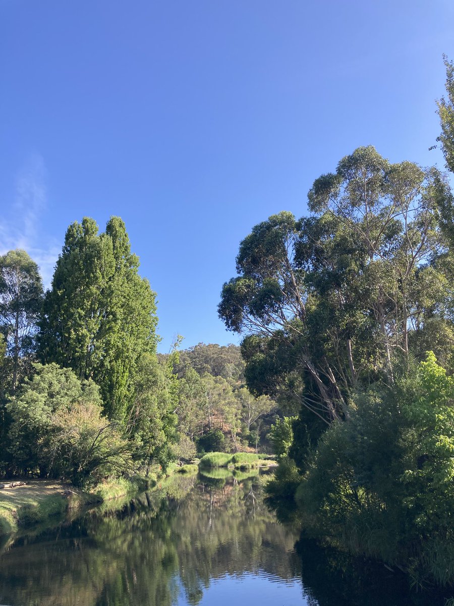 Visible Procrastinations tweet media