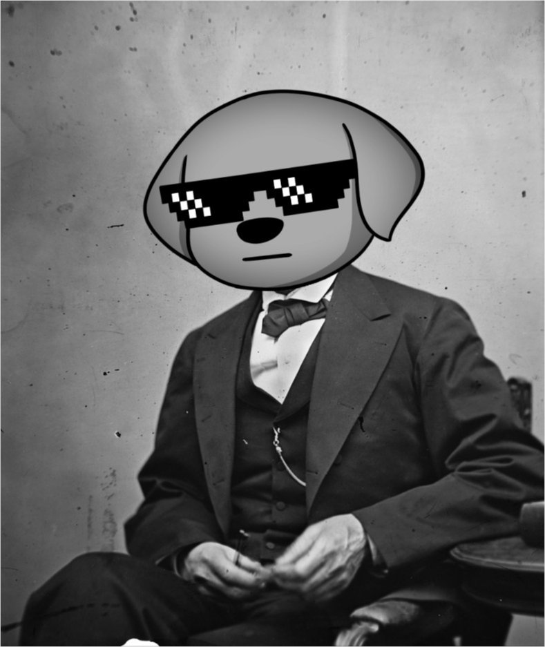 MinnerAlgo's tweet photo. I like the $wit vibe https://t.co/FhCVCsPb4v