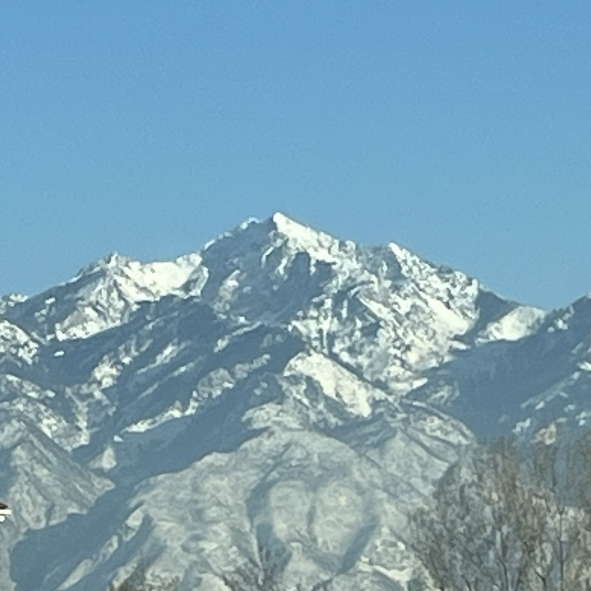 Coach Aaron Best tweet media