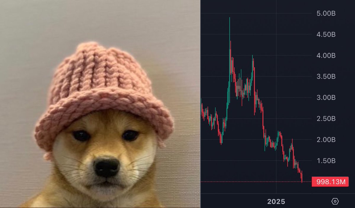 NEW: SOLANA MEMECOIN $WIF (<a href="/dogwifcoin/">dogwifcoin</a>) DROPS BELOW $1 BILLION MARKET CAP