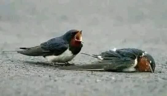 mutairid's tweet photo. "لا تحسبنَّ الفراق هيَّنً" 💔 https://t.co/YEGcRhuFhC